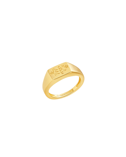 Unisex Ringstone Signet Ring